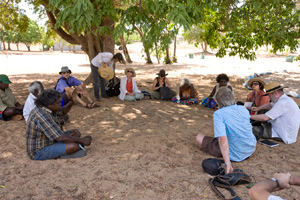 Under the Knowledge Tree with Djambawa Marawili.
