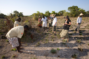 Artists in the bush with Dhimurru Rangers