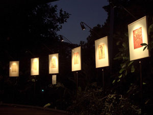 Exhibition in Darwin