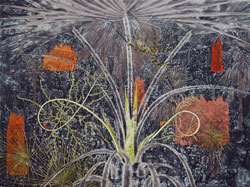 Fiona Hall, Fan Palm &ndash; Dhalpi, etching, 2010. From Burning Bright, a folio of six etchings
