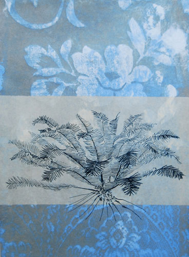 Winsome Jobling Cycad  etching on hand made paper, &copy; 2010.  From: Mesozoic &ndash; the age of the cycads