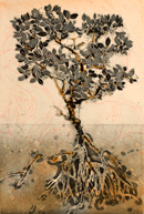 Jorg Schmeisser, Mangrove Tree, etching, from Djalkiri: we are standing on their names Blue Mud Bay
