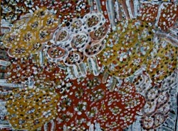 Lorna Kantilla, untitled, natural ochres on Archers paper 38 x 28 cm
