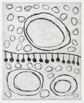 The box folios are decorated with individually commissioned coil designs by Tjanpi Desert Weavers.