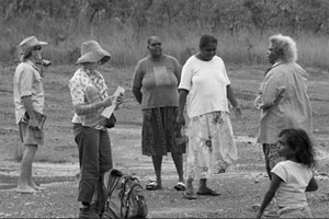 Replant Artists in the field