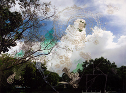 Siying Zhou, Look for Clove Oil, Cotton stitches on photographic paper, digital print, 2011, 290 x 390 mm
