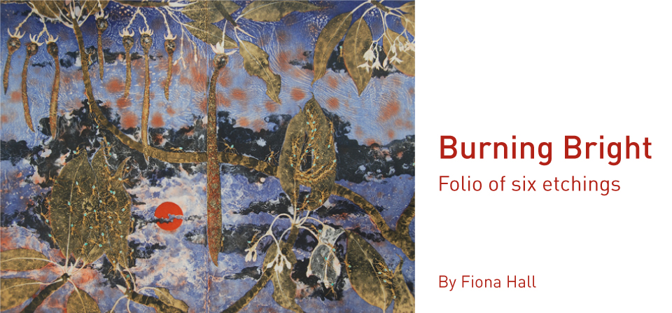 Fiona Hall, Casuarina – Mawurraki, 50 x 66 cm, from a folio of six etchings.