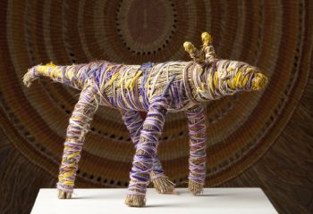 Central Desert Fibre