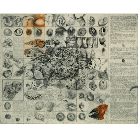 Diary and Beach Bits, etching