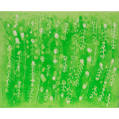 Plants around Japirnka, etching by Rosie Tarco King, 19.5 x 24.5 cm